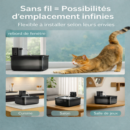Fontaine à Eau Automatique pour Chat 2,5 L
