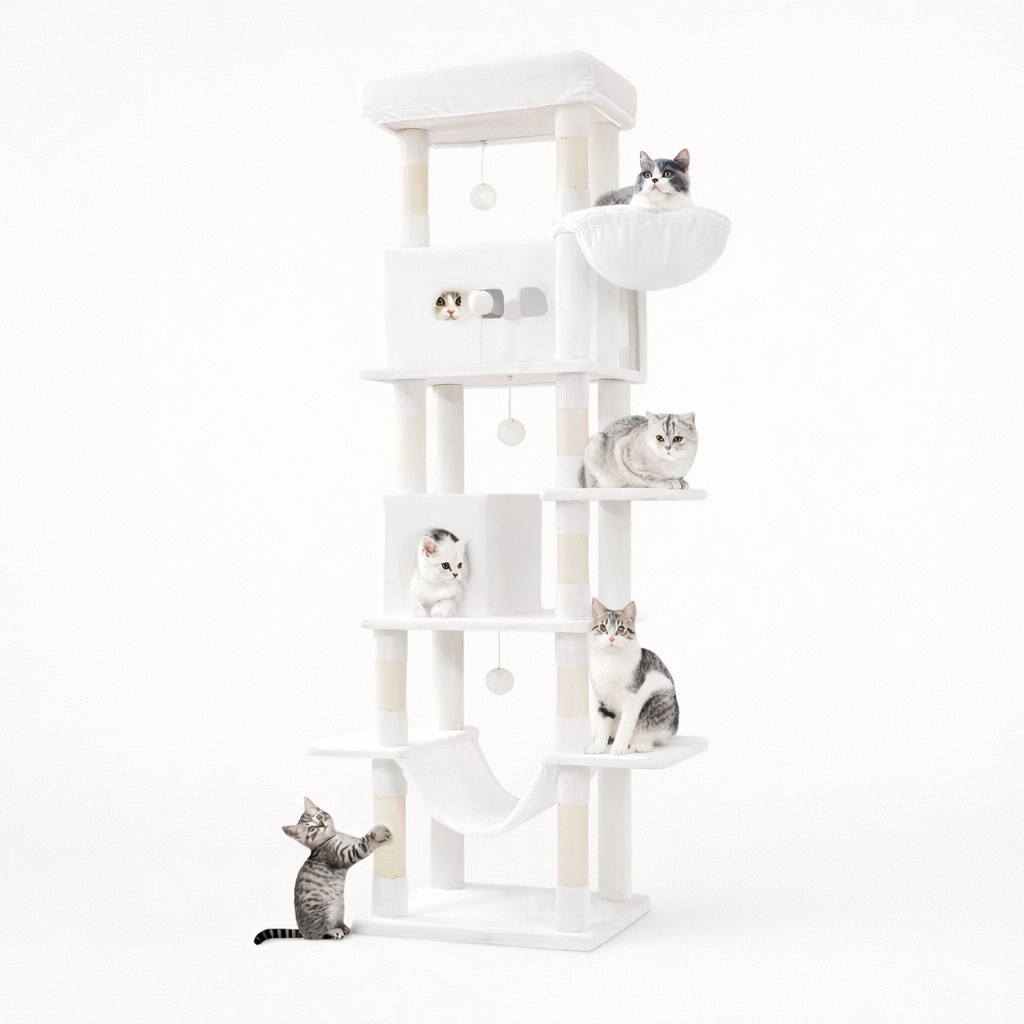 Arbre à Chat 210 cm