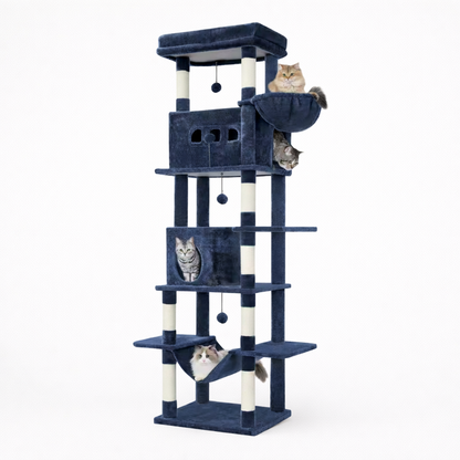 Arbre à Chat 210 cm